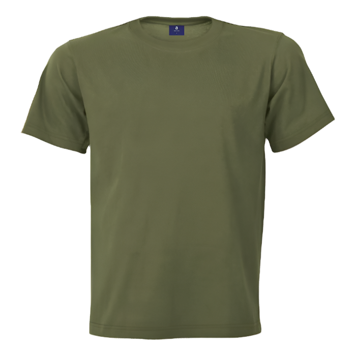 180g 100% Cotton Men's Crew Neck T-Shirt Fatigue Green
