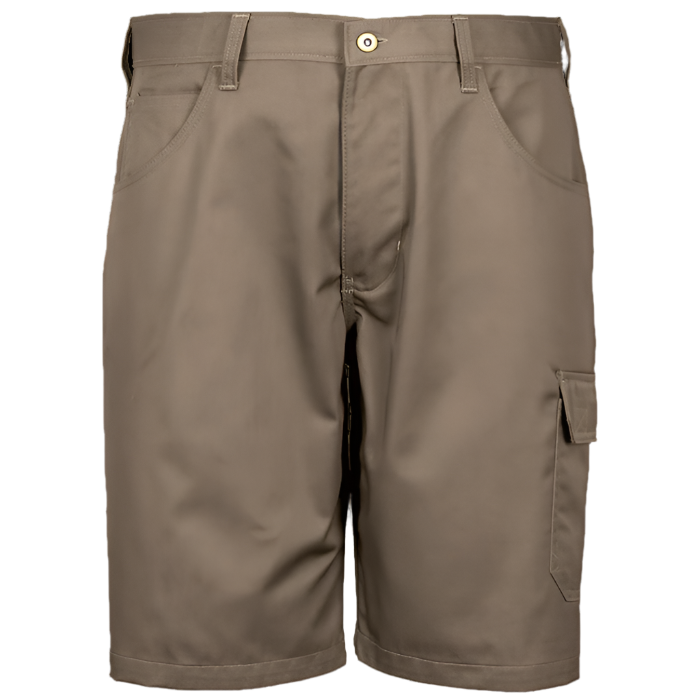 Men's Rogue Shorts Khaki